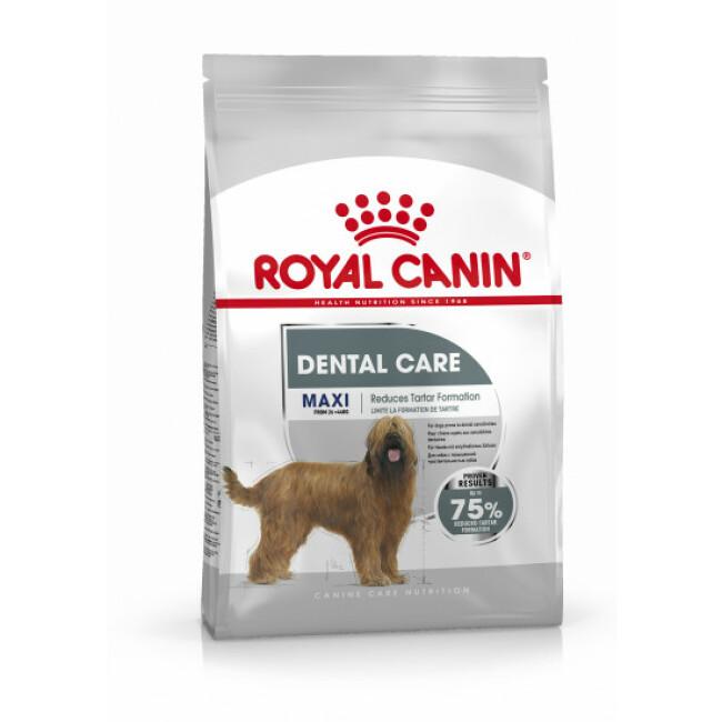 Croquettes Royal Canin Maxi Dental Care