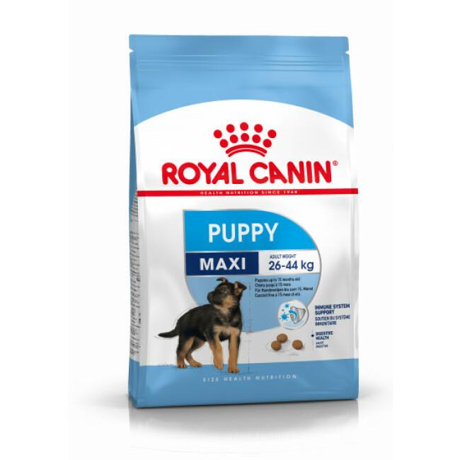 Croquettes Royal Canin Maxi Puppy Junior