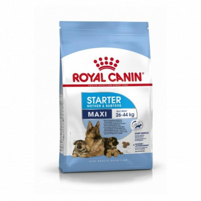 Croquettes Royal Canin Maxi Starter Mother & Babydog