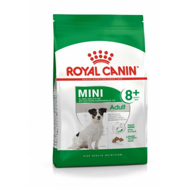 Croquettes Royal Canin Mini Adulte +8