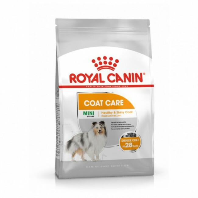 Croquettes Royal Canin Mini Coat Care Adulte