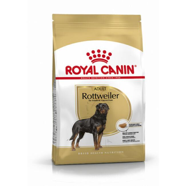 Croquettes Royal Canin Rottweiler 26 Adulte