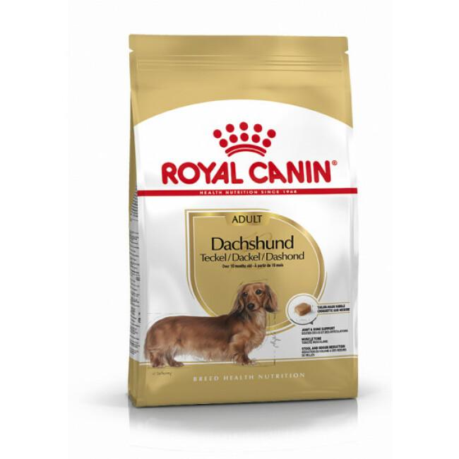 Croquettes Royal Canin Teckel 28 Adulte