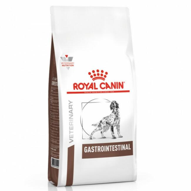 Croquettes Royal Canin Veterinary Diet Gastro Intestinal pour chiens