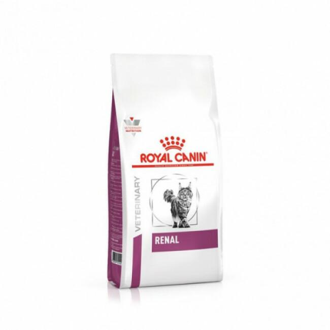 Croquettes Royal Canin Veterinary Diet Renal pour chats