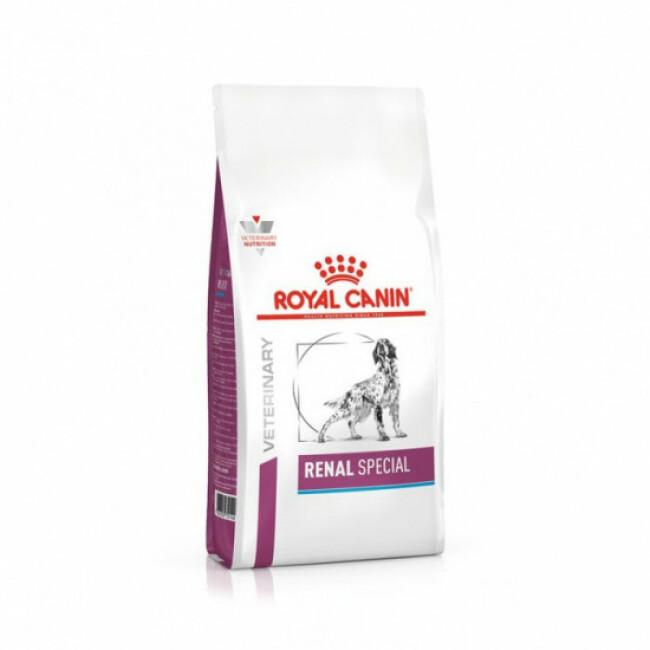 Croquettes Royal Canin Veterinary Diet Renal Special pour chiens