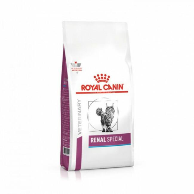 Croquettes Royal Canin Veterinary Diet Renal Special RSF 26 pour chats