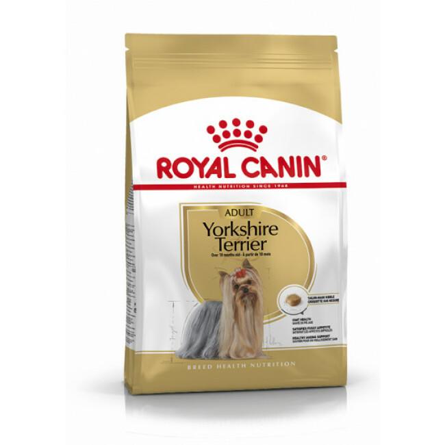 Croquettes Royal Canin Yorkshire Terrier Adulte pour chien de plus de 10 mois