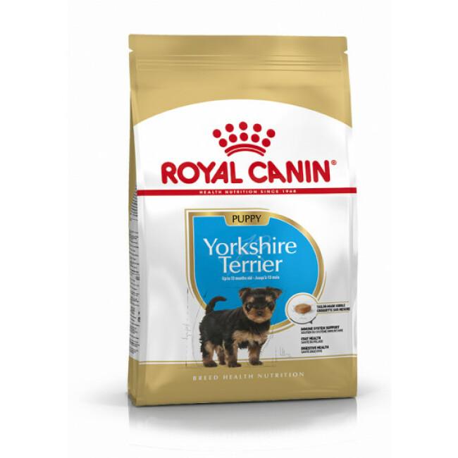 Croquettes Royal Canin Yorkshire Terrier Junior