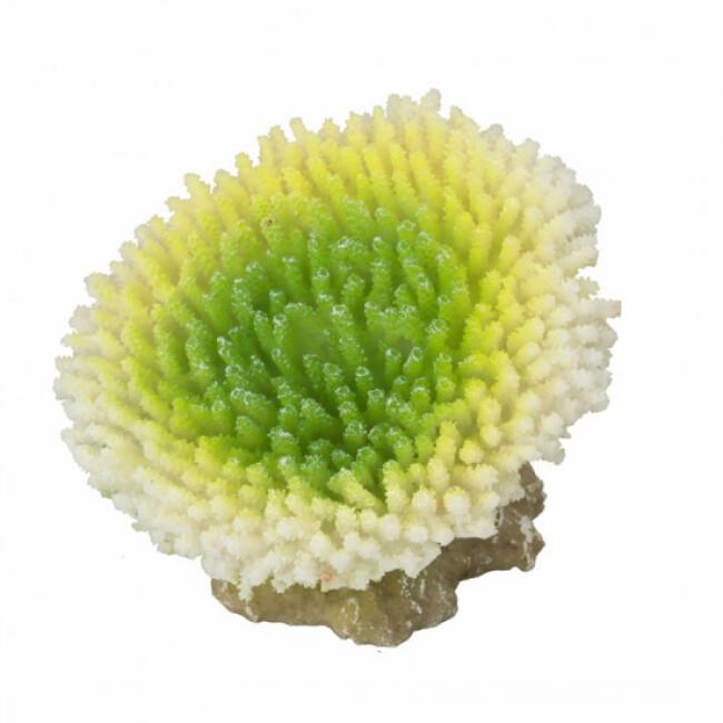 Décoration pour aquarium corail Efflorescens Aqua Della