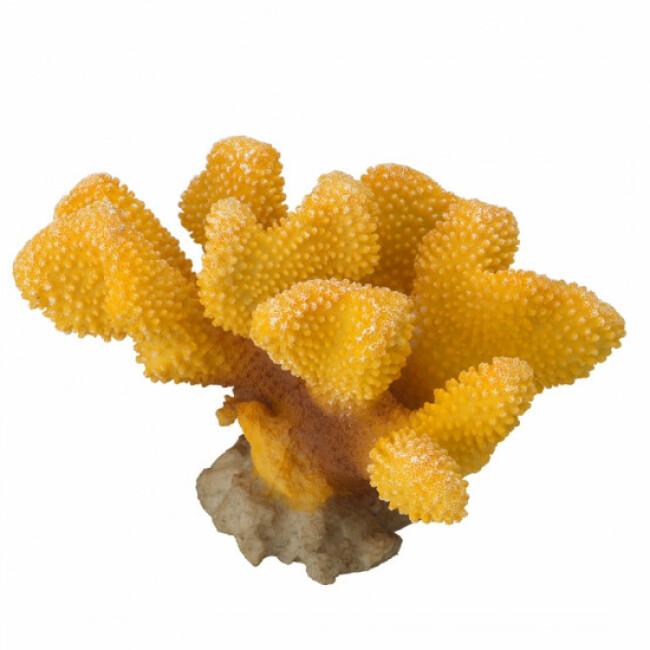 Décoration pour aquarium corail Pavona Cactus Aqua Della
