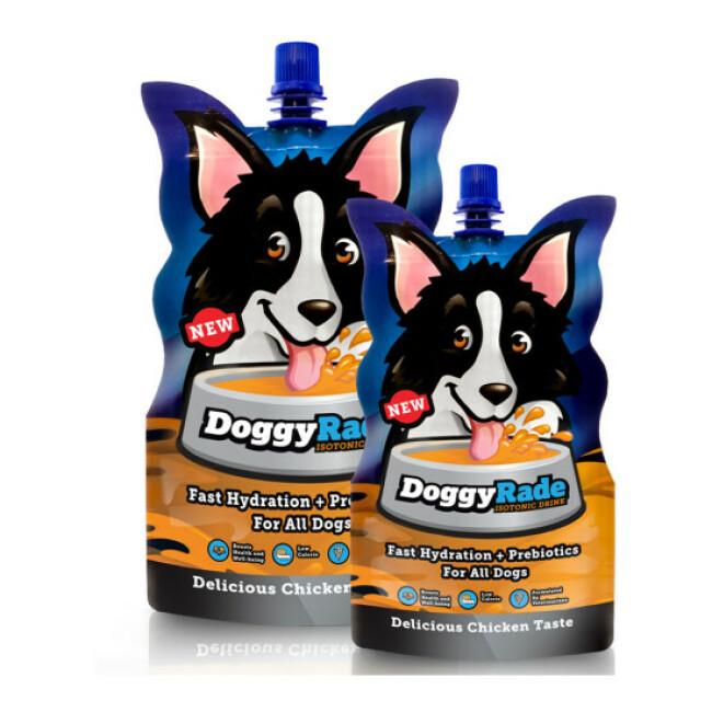 Doggyrade Boisson isotonique de ré-hydratation pour chien