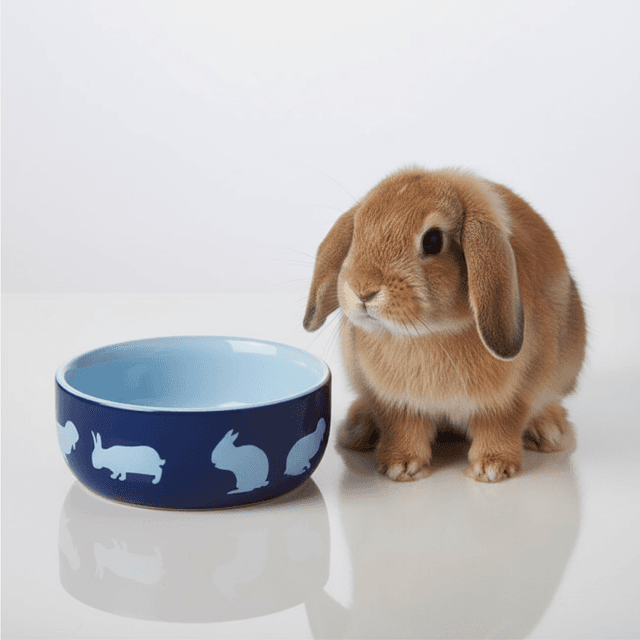 Ecuelle en céramique avec motifs pour lapins Trixie
