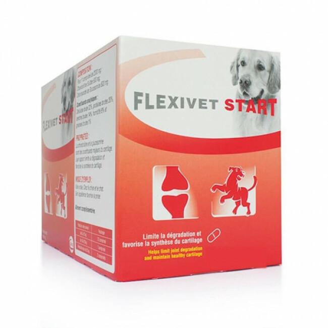 Flexivet Start and Go Ceva pour chien