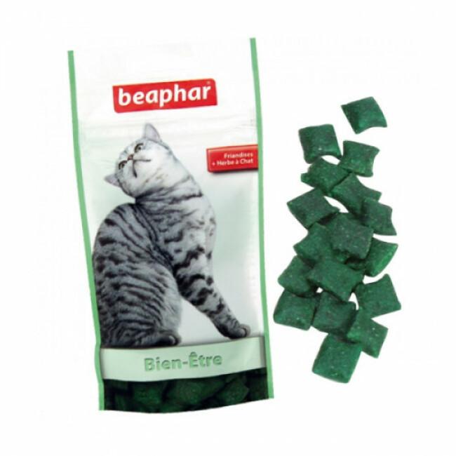 Friandises pour chat à base d'herbe à chat Beaphar 35 g