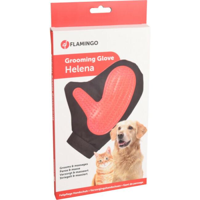 Gant de toilettage droitier pour chien et chat Flamingo