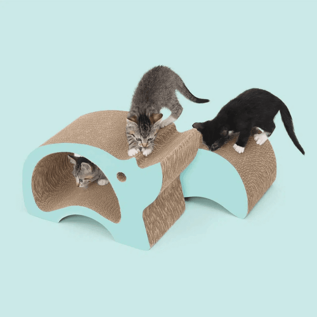 Griffoir 2en1 Catit Zoo