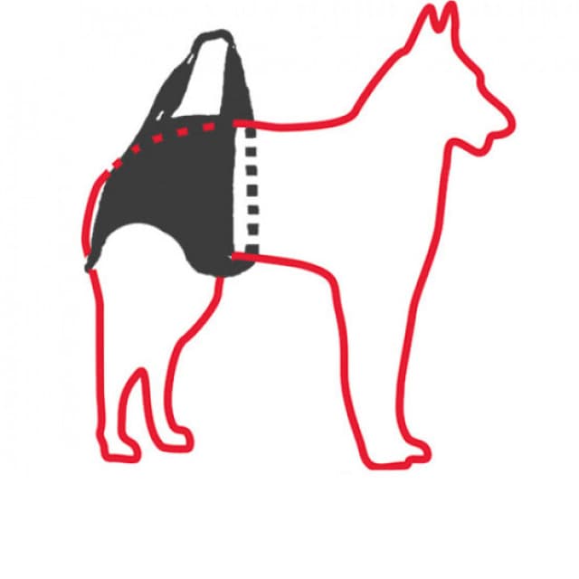 harnais pour chien handicapé train arriere