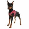 Veste rafraîchissante rouge Aqua Coolkeeper pour chien M T.34-37 cm