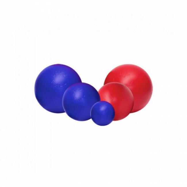 Jolly Ball Push-N-Play balle pour chien