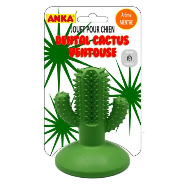 Jouet Dental Cactus à ventouse