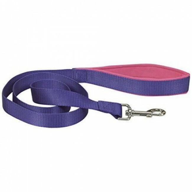 Laisse sangle violette en nylon pour chien avec poignée confort Chapuis Sellerie