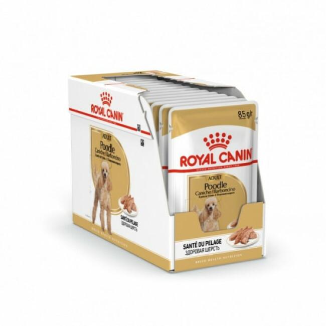 Mousse Royal Canin Caniche Adulte