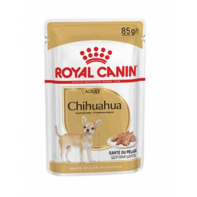 Mousse Royal Canin Chihuahua Adulte