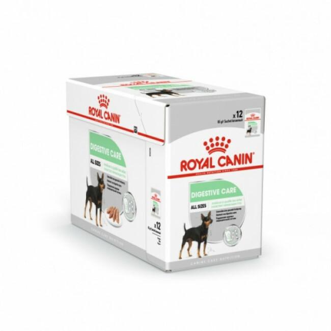 Mousse Royal Canin Digestive Care pour chien