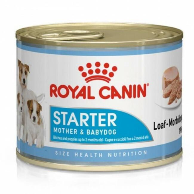 Mousse Royal Canin Starter Mother & Babydog pour chien