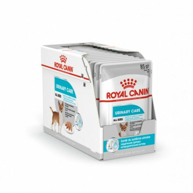 Mousse Royal Canin Urinary Care pour chien
