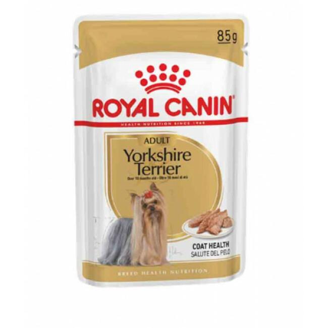 Mousse Royal Canin Yorkshire Adulte