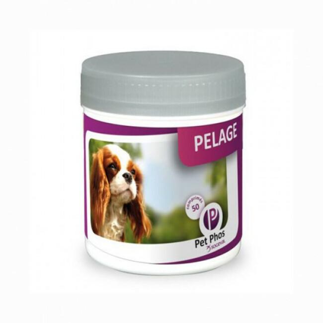 Pet-Phos Spécial pelage Compléments alimentaires pour chiens