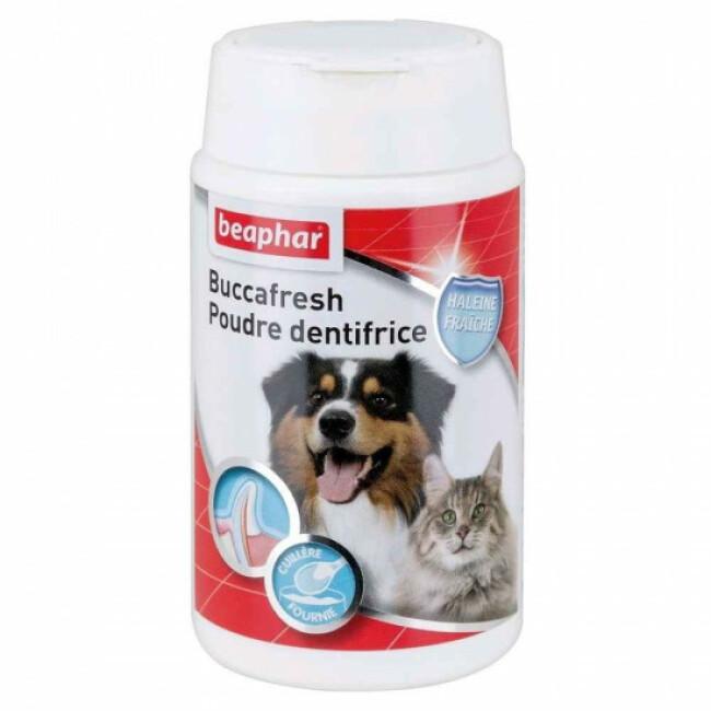Poudre dentaire Dental Plus Beaphar pour chiens et chats pot 75 g