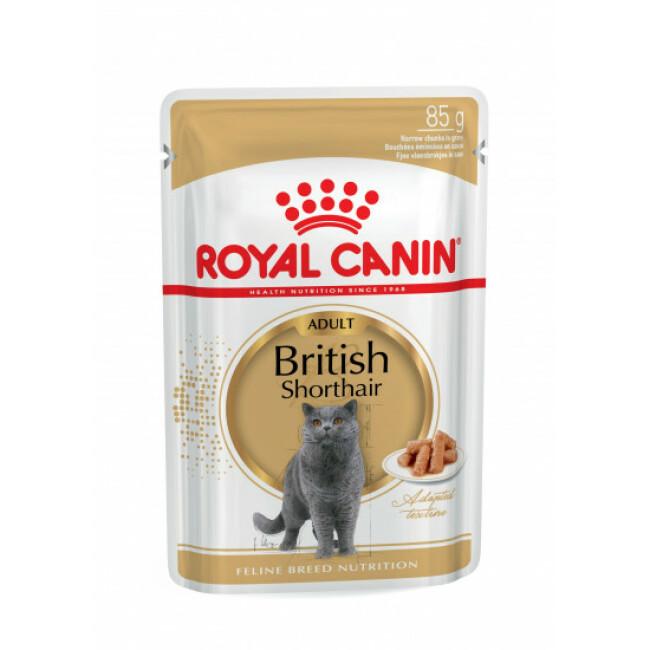 Pâtée pour chats British Shorthair Royal Canin British Shorthair Adulte