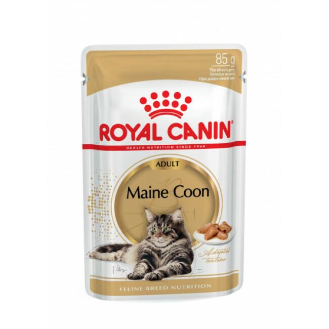 Pâtée pour chats Maine Coon Royal Canin Maine Coon Adulte 12 Sachets 85 g
