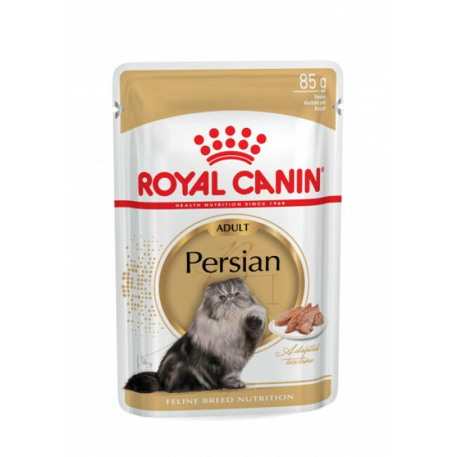 Pâtée pour chats persan Royal Canin Persian Adulte