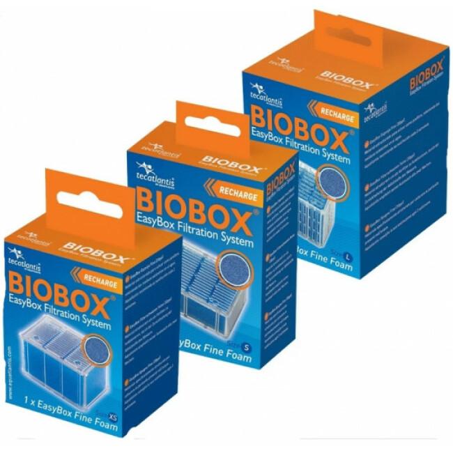 Recharge mousse fine Biobox easybox Tecatlantis