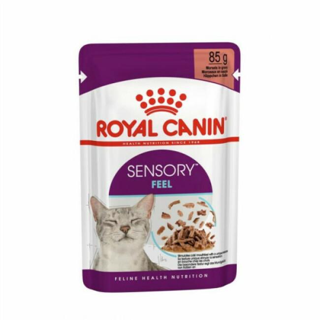 Royal Canin Sensory Feel pour chat 12 sachets 85 g