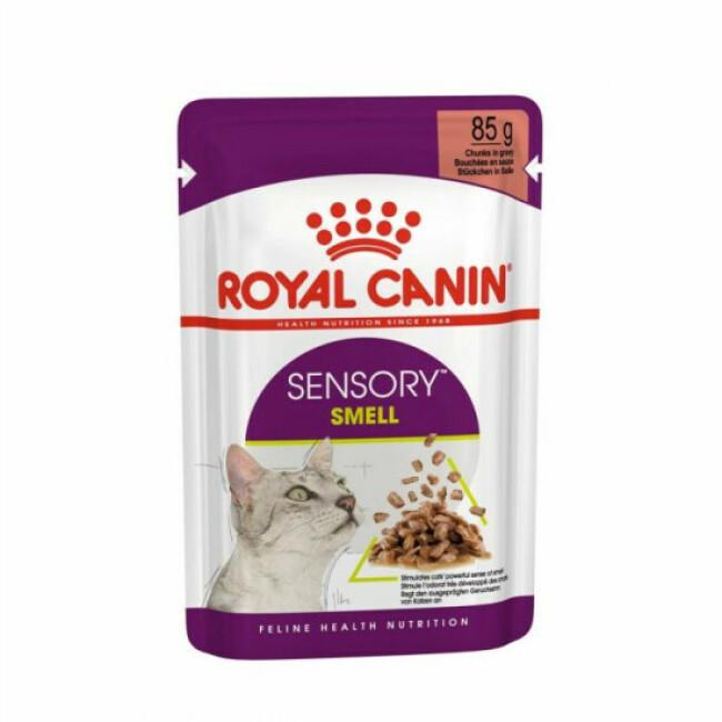 Royal Canin Sensory Smell pour chat 12 sachets 85 g
