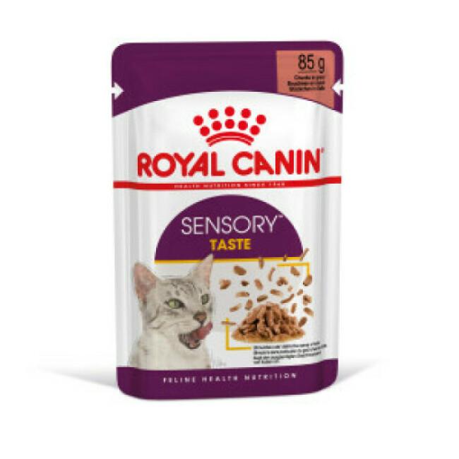 Royal Canin Sensory Taste pour chat 12 sachets 85 g
