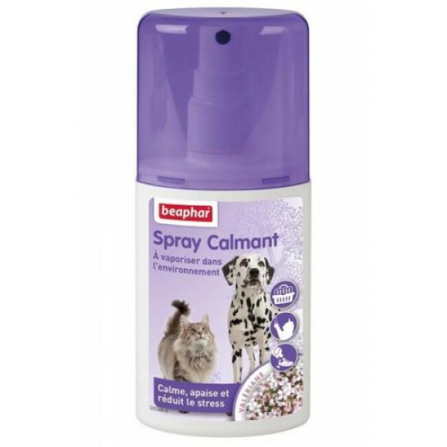 Spray calmant pour chat ou chien à vaporiser dans l'environnement