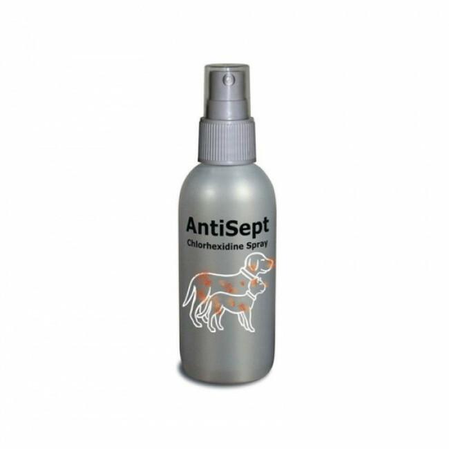 Spray désinfectant AntiSept Dechra 250 ml