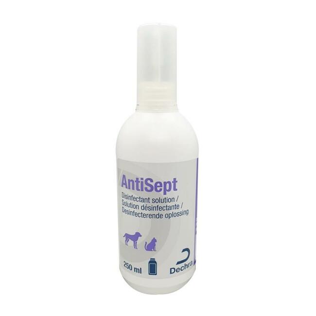 Spray désinfectant AntiSept Dechra 250 ml