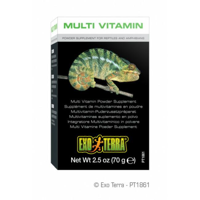 Supplément multi vitamine en poudre pour reptile Exo Terra 70 g