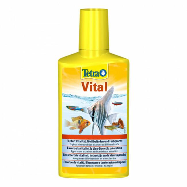 Vitaliseur d'eau Tetra Vital 250 ml pour aquarium d'eau douce