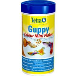 Alimentation Tetra Guppy colour 250 ml pour poissons