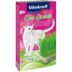 Herbe à Chat Cat-gras Vitakraft