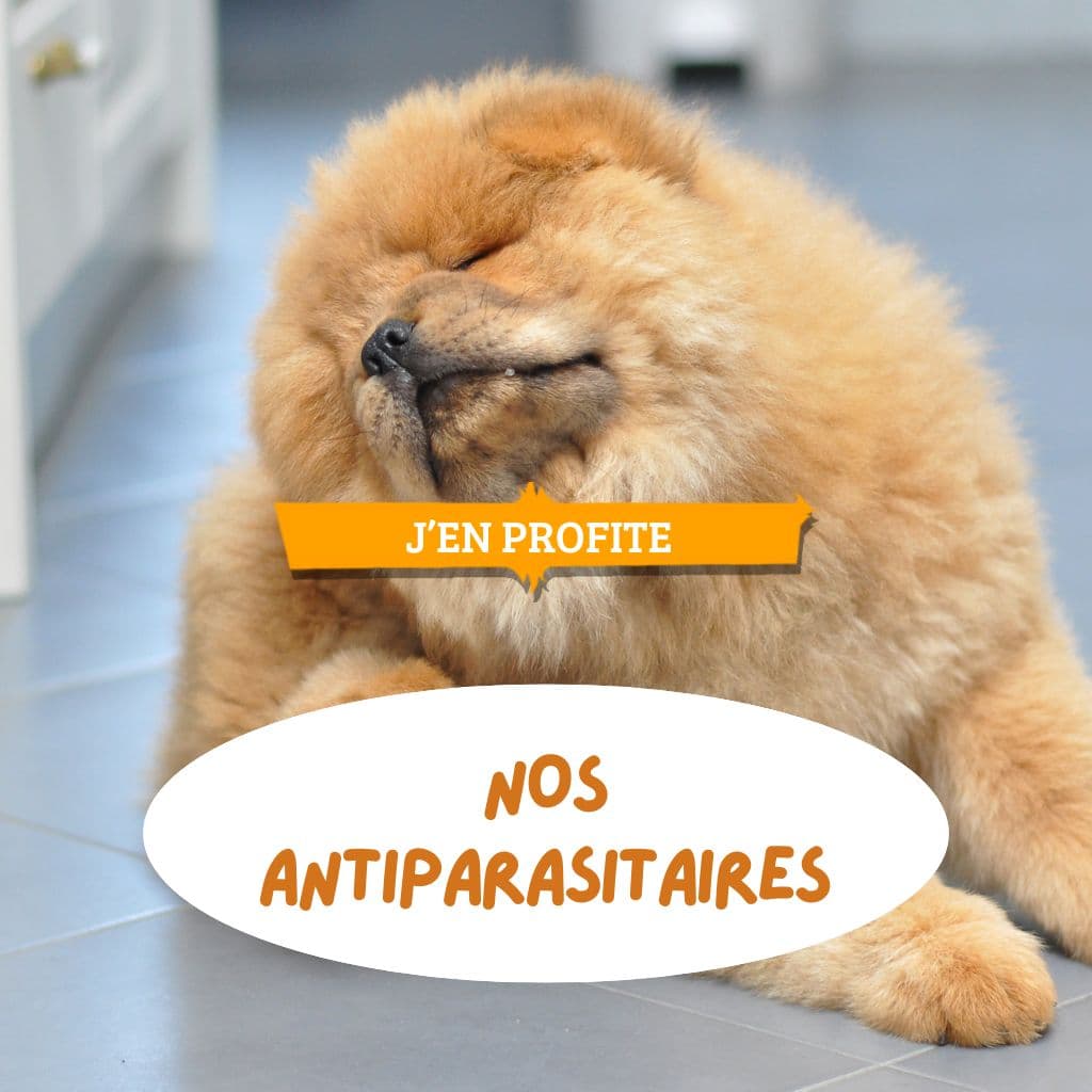 nos Antiparasitaires - LFDA 2026