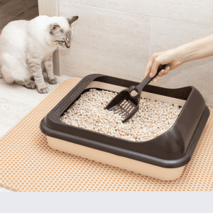Quelle taille de grande litière pour chat choisir ?